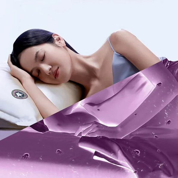 Aspirator AntiAcarieni Portabil